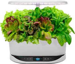Aerogarden harvest indoor garden with gourmet herb seed pod kit. Aerogarden Bounty Easy Setup Healthy Eating Garden Kit 9 Heirloom Salad Pods Included App Capability White 903131 1300 Best Buy