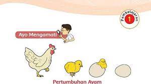 Kunci jawaban soal tema 4 kelas 6 sd/mi subtema 3 globalisasi dan cinta tanah air, tepatnya pada materi pembelajaran 2 di buku tematik siswa halaman 105 107 108 109 110 111. Kunci Jawaban Tematik Kelas 3 Sd Tema 1 Halaman 99 100 101 102 105 107 Subtema 3 Soal Perkalian Tribunnews Com Line Today