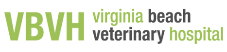 Birdneck animal hospital is not the average virginia beach veterinary hospital. Virginia Beach Veterinary Hospital Veterinarian In Virginia Beach Va Us