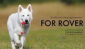 Maybe you would like to learn more about one of these? Pet Sit For Rover And Make Money On Your Own Time