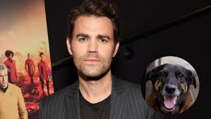 Astro de 'The vampire diaries' repercute caso de cachorro torturado em Florianópolis: 'Justiça por Orelha'