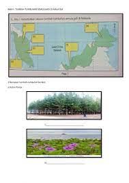 Pantai anyer memang sudah populer di banten. Ejercicio Interactivo De Tumbuh Tumbuhan Semula Jadi Di Malaysia