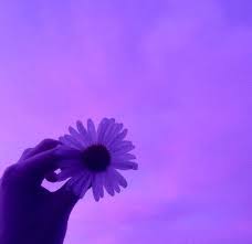 Check spelling or type a new query. Flower Aesthetic And Purple Image 6416334 On Favim Com