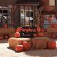Oktoberfest Vendor Market event image