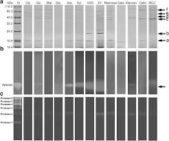 Integrated Functional Omics Analysis Of Thermomyces