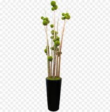 Maybe you would like to learn more about one of these? Flower Vase Transparent Png Png Flower In Vase Png Image With Transparent Background Toppng