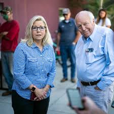 Trump foe Liz Cheney defeated in Wyoming Republican primary