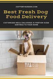 Best Fresh Dog Food Delivery Service Made With Human Grade Food Just For Your Dog Dog Food Recipes Dog Food Delivery Healthy Dog Food Recipes