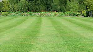 Jedoch verschafft das frühe mähen dem rasen zeit sich ein wenig zu regenerieren. Rasen Mahen Rasenpflege In Hannover Burgwedel Wettmar Gartenpflege Gartengestaltung Rollrasen Von Greenfairway E K