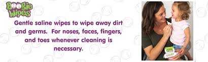 Boogie Wipes Review: Worth It? – Mama Bear Reviews
