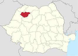 Zalău este reședința județului sălaj fiind amplasat în bazinul hidrografic al râului cu același nume (zalău). SÄƒlaj County Wikipedia