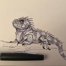 Pin On Draw Animals Lizards Snakes Reptiles
