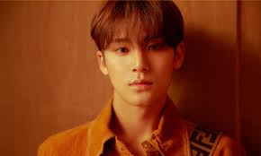 Jeon wonwoo, a passionate writer and an introvert. Faupe1gy0kvwzm
