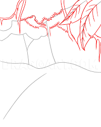 How to draw zoo animals: How To Draw A Rainforest Step By Step Drawing Guide By Dawn Dragoart Com