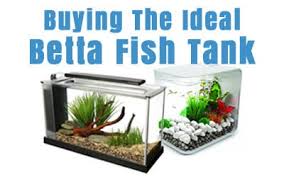 Orders of $35 or more get free shipping! Betta Fish Care Guides Articles Japanese Fighting Fish