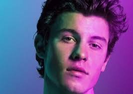 shawn mendes height weight age girlfriend biography