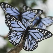 Photo of a monarch butterfly chandelier in california by joanna gilkeson, u.s. Denim Blue Artificial Monarch Butterflies Birds Butterflies Basic Craft Supplies Craft Supplies Factory Direct Craft