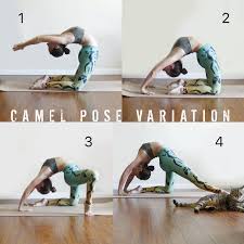 Pin On Yoga