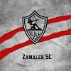 أعلن الأرجنتيني رودلفو أروابارينا المدير الفني لفريق نادي بيراميدز قائمته التي تخوض مباراة سيراميكا كليوباترا والمحدد لها التاسعة والنصف من مساء اليوم الأحد. 1