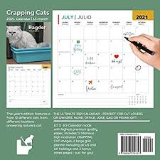 Crapping Cats Calendar 2021 12 Months For Cat Lovers Funny Pooping Pets Gag Joke Gift Women Men Birthday White Elephant Party Exchange Yankee Swap Stocking Stuffer Or Filler Christmas Summers