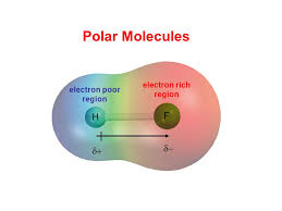 Polar Molecules H F Electron Rich Region Electron Poor Region D D Ppt Video Online Download
