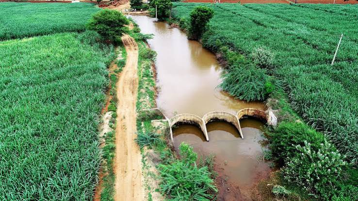 ಜಲಶಕ್ತಿ ಅಭಿಯಾನ'ದಲ್ಲಿ ರಾಜ್ಯಕ್ಕೆ 2ನೇ ಸ್ಥಾನ
