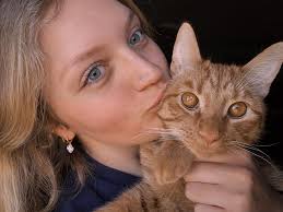 He's been Found** If anyone sees this little fella around Kelsall please  contact me. My daughter thinks he's fallen out of her school bag and he's  very much missed. We'd be VERY