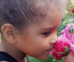 Record number of homeless died in Sacramento CA in 2021