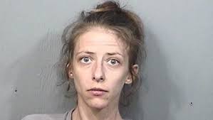 Teen slammed, bitten in fight over dogs in Mims