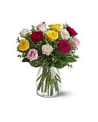 We did not find results for: Mother S Day Flowers Delivery Staten Island Ny Evergreen Florist