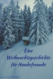Buchrezension Hundewinter Von K A Nuzum Dein Weg Mit Hund Wilde Katzen Hunde Hund Bellt