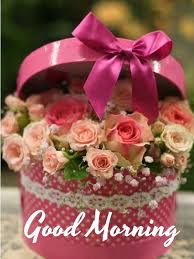 Good Morning Images With Flowers Good Morning Roses Good Morning Flowers Good Morning Images Flowers