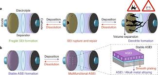 In eukaryotic cells, or cells with a nucleus, the stages of the cell cycle are divided into two major phases: Multifunctional Interphase Nature Energy