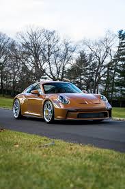 Image result for Sepia Brown 2025 Porsche