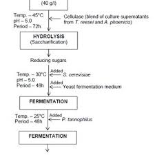 Flow Chart For Conversion Of Water Hyacinth To Bioethanol 9