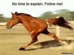 Young horses tend to sleep more than mature horses. Horse Daily Sleep 2 9 Hours Meanwhile Horses Sleeping 3 Hours Students Meme Memezila Com