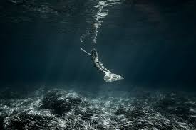 Wallpaper Dark Sea Women 500px Underwater 2048x1365 Wallpapermaniac 1301923 Hd Wallpapers Wallhere Person under water illustration, minimalism, water, underwater, artwork. wallpaper dark sea women 500px underwater 2048x1365 wallpapermaniac 1301923 hd wallpapers wallhere
