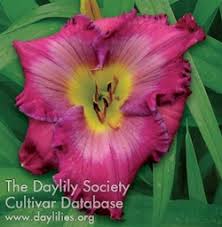 He will be on the national american. New England Daylily Society 2018 Picnic Auction