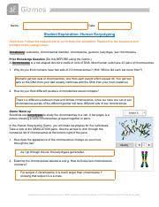 Maybe you would like to learn more about one of these? Human Karyotyping Gizmo Pdf Name Date Student Exploration Human Karyotyping Directions Follow The Instructions To Go Through The Simulation Respond To Course Hero