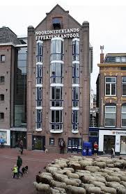 City Sheep Groningen Stad Nederland