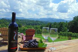 We did not find results for: Asheville Nc Wineries Winery Tours
