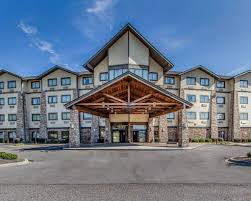 Cook's pest control services the southeastern region of the united states (alabama, arkansas, florida, georgia, mississippi, and tennessee). Comfort Inn Suites Scottsboro Highway 72 East Scottsboro Alabama Hotel Motel Lodging