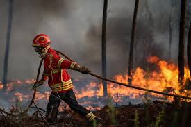 O fogo lavra com grande intensidade e a densa coluna de. Incendios Quase 120 Operacionais E Oito Meios Aereos Combatem Fogo Em Odemira