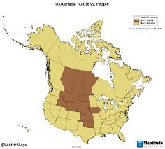 Black Bear Population By State Us And Canada People Vs Cattle By State Province History Geography Cattle Antique Maps