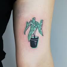 Plants are also referred to as green plants and there are thought to be over 300 types of species in this category. 25 Stunning Plant Tattoos That Will Impress Any Plant Parent