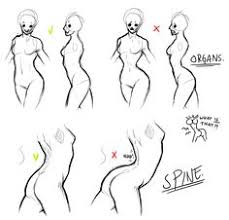 Anatomy Drawing Practice Anatomy Drawing Diagram