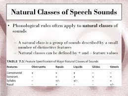 Ch 5 Phonology The Sound Patterns Of Language Ppt Video