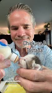 Sorry folks.. I'm out of commission… Donna & I are having a play date with  our twin grandsons. Mom and dad's anniversary and they're out to dinner and  a movie ❤️