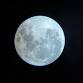 Moonlit WildSpa — Westerlands event image