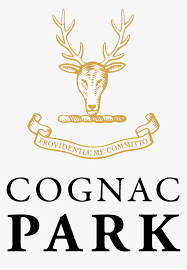 We did not find results for: Logo Park Or Noir Detoure 1513x2190px Temasek Foundation Logo Hd Png Download Transparent Png Image Pngitem